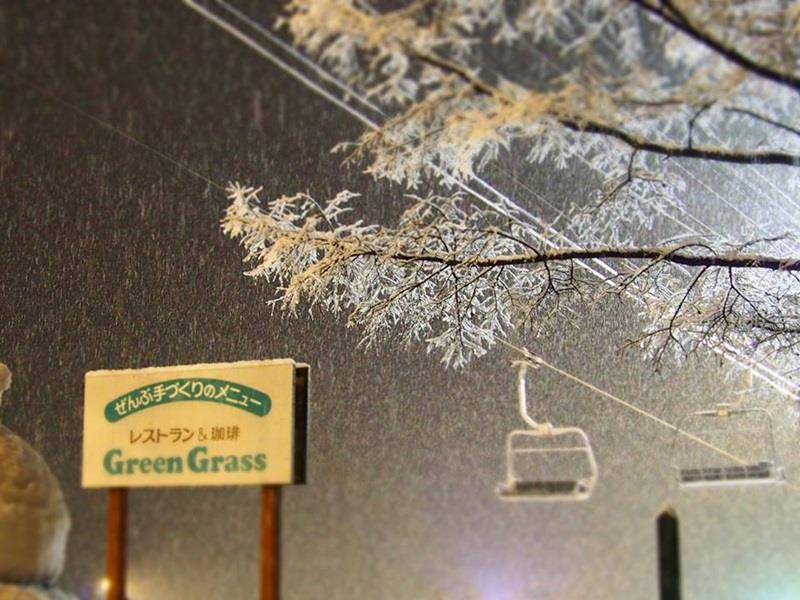 Pension & Restaurant Green Grass Хакуба Екстер'єр фото